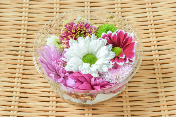 食用菊（ジュエルマム）ミックス