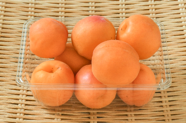 あんず（杏）（2L）（秀）500gr
