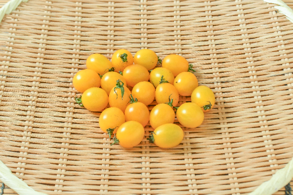ミニトマト（黄）