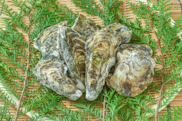 殻付きカキ（加熱用）1kg7-10入