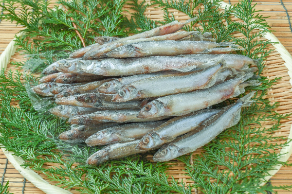 網干しカラフトししゃも（オス）1kg