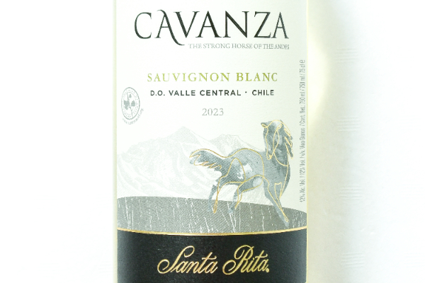 Santa Rita CavanzaSauvignon Blanc（サンタ・リタ・カヴァンサ・ソービニヨンブラン） (2)