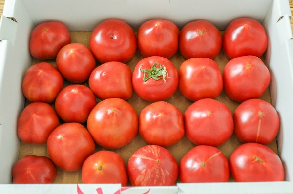 中玉トマト（ロッソトマト）（無M）箱2kg 15玉