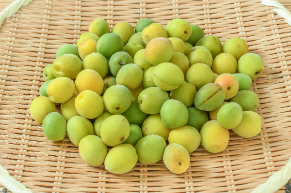 青梅（白加賀） 【業務用食材の仕入れなら八面六臂】