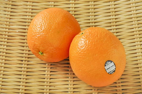 ネーブルオレンジ（56玉サイズ）