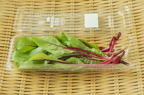 西洋野菜 八面六臂
