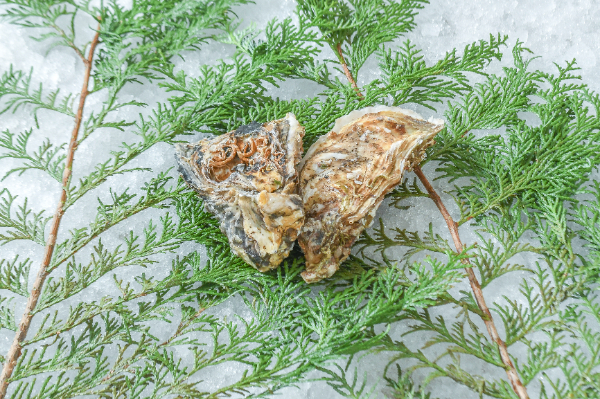 深海熟成牡蠣「碧」（養殖）（S）