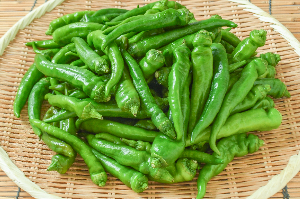 万願寺とうがらし（L）（優）1kg