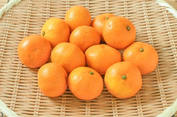 リピーター続出‼️木熟大玉メロゴールド 23玉入り みかんキング これが最後の1箱‼️リピーター続出‼️木熟大玉メロゴールド 23玉入り