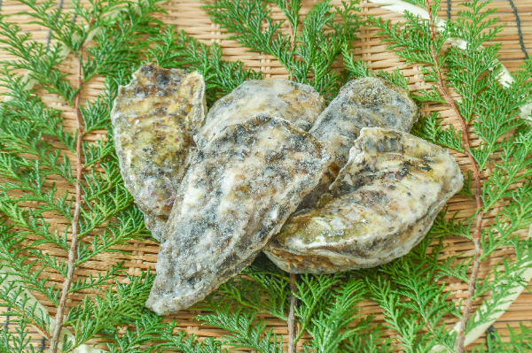 殻付きカキ（加熱用）1kg5-7入