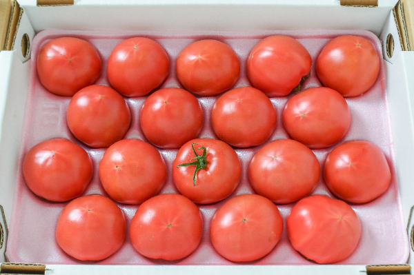 すずか（18玉サイズ）