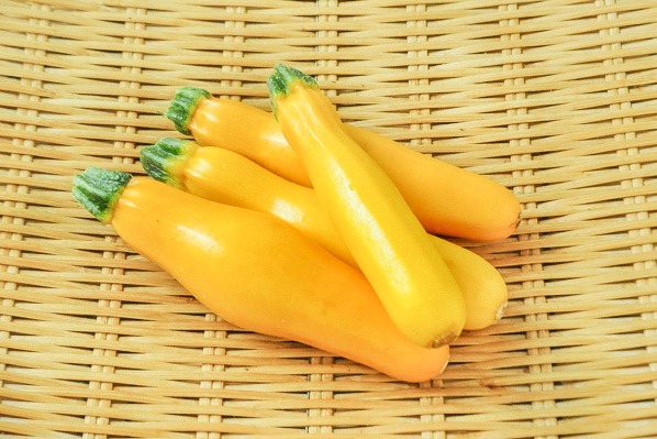 黄色ズッキーニ（B）（14本サイズ）（長野）