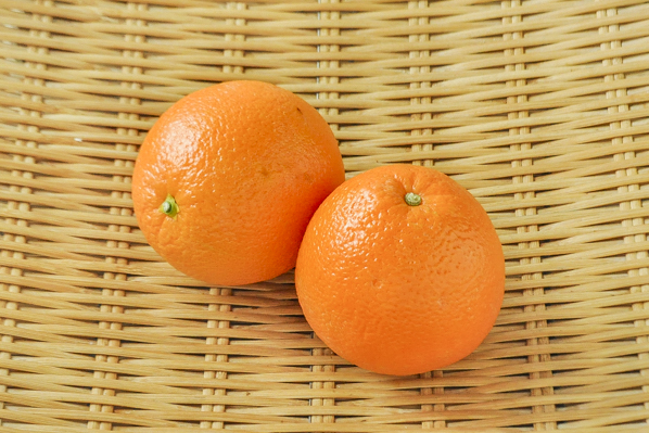 ネーブルオレンジ（88玉サイズ）