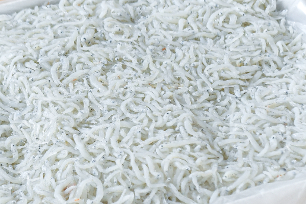 釜揚げしらす（上）