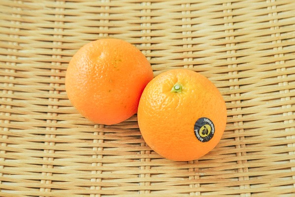 バレンシアオレンジ（113玉サイズ）