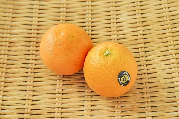 丸正　バレンシアオレンジ（113玉サイズ）