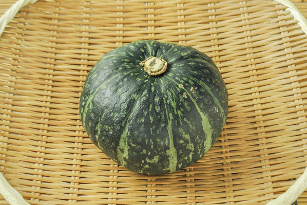 南瓜 7玉サイズ 八面六臂