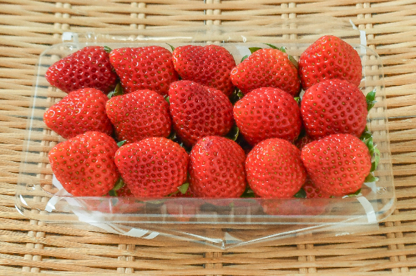 ベリーポップ　すず（2L）