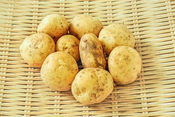 新じゃがいも（デジマ）（S）500gr（長崎県産）