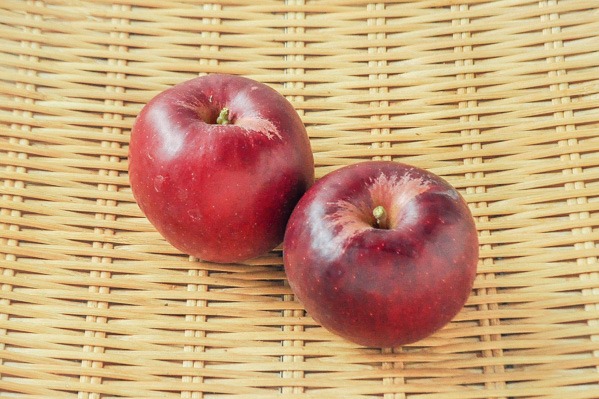 りんご（紅玉）（56玉サイズ）