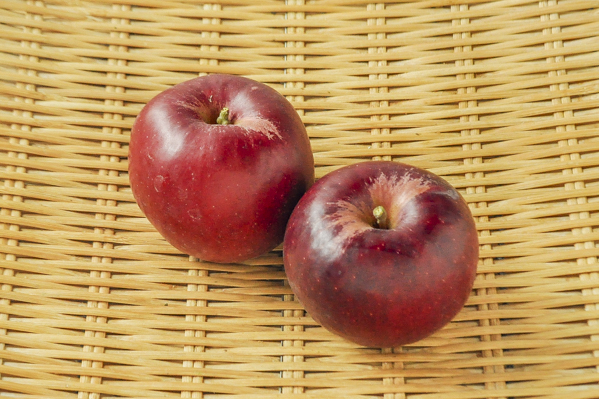 神田　りんご（紅玉）（56玉サイズ）
