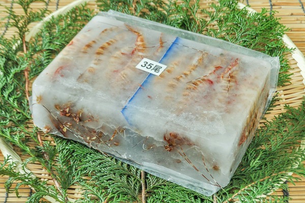 （株式会社ノースイ）活冷天然海老（ブラウンタイガー）（生食用）（冷凍）35尾