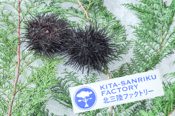 うに牧場（北三陸ファクトリー）