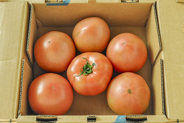 トマト（箱）