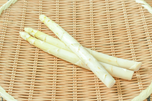 セロリ 【業務用食材の仕入れなら八面六臂】