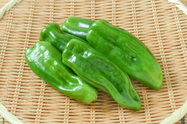 ピーマン（ちぐさ） 【業務用食材の仕入れなら八面六臂】