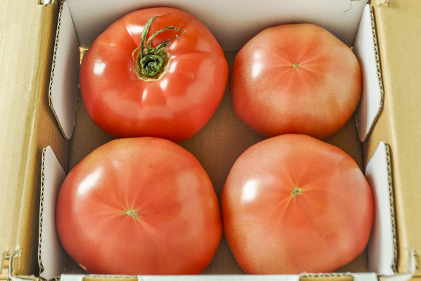 トマト（B２L）（小箱）