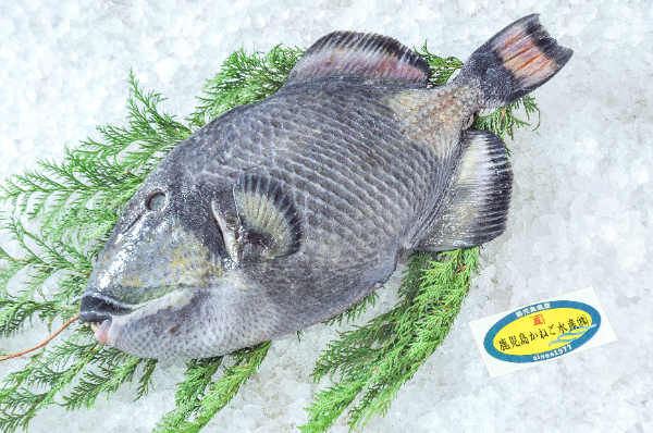 その他（鮮魚） 【業務用食材の仕入れなら八面六臂】