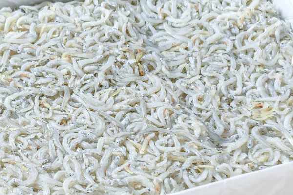 得用しらす干し