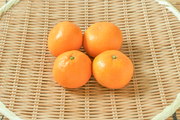 みかん（L）（秀）500gr