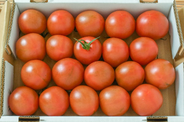 スーパーフルーツトマト（28-32玉サイズ） 【業務用食材の仕入れなら