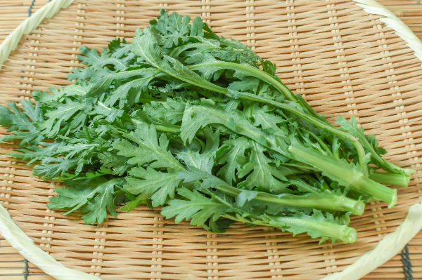 たんとファームさんの春菊　150gr