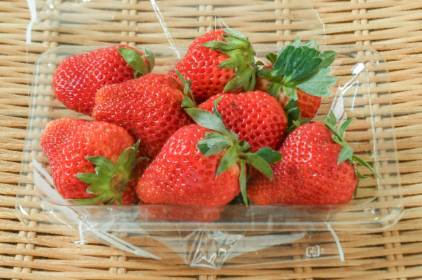 ベリーポップ　すず（A）