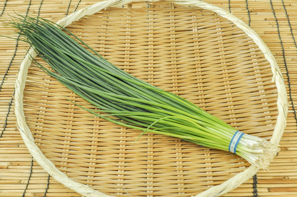 やっこねぎ 八面六臂