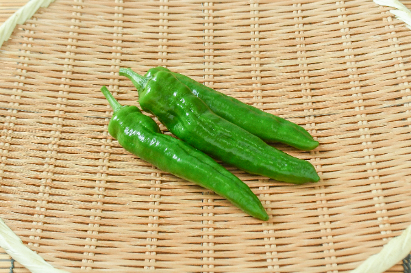 ハラペーニョ 【業務用食材の仕入れなら八面六臂】