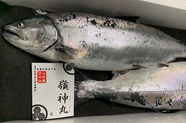 山形県産 山ぶどう蔓 約1.9Kg (A)