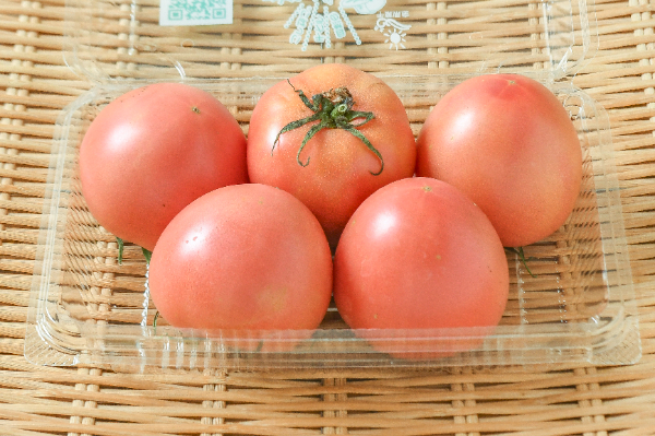 トマトパック　5入