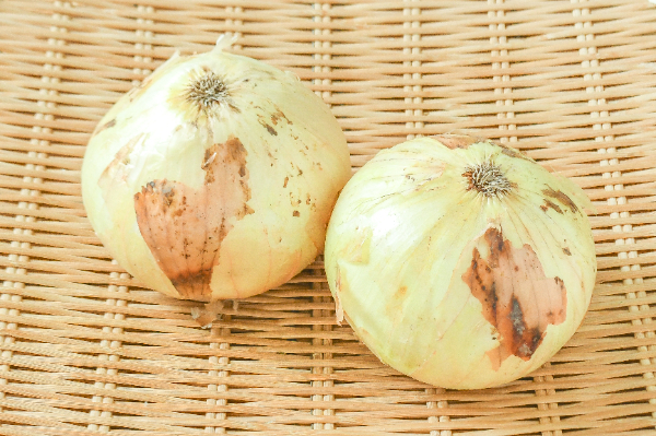 玉ねぎ（2L）