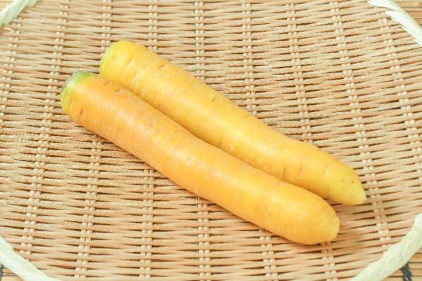 金美人参　500gr2入