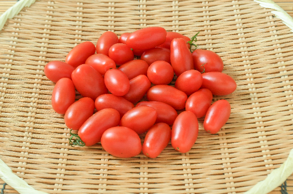 アイコトマト（A）