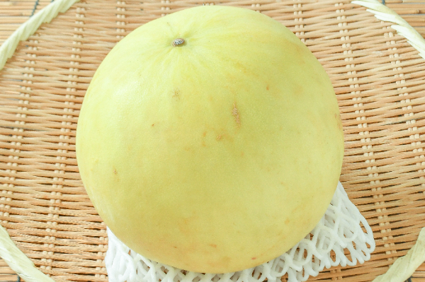 ハネジューメロン（6玉サイズ） 【業務用食材の仕入れなら八面六臂】