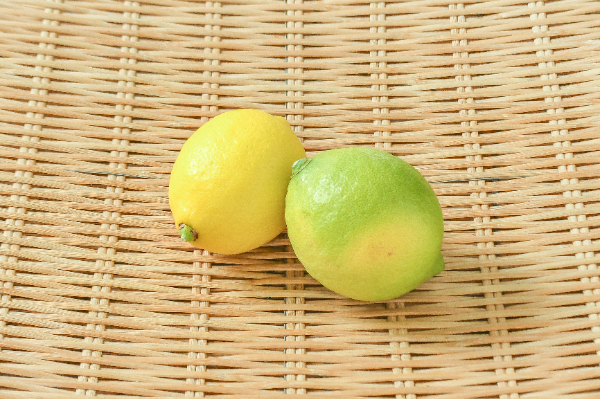 グレープフルーツ（ホワイト）（55玉サイズ） 【業務用食材の仕入れ