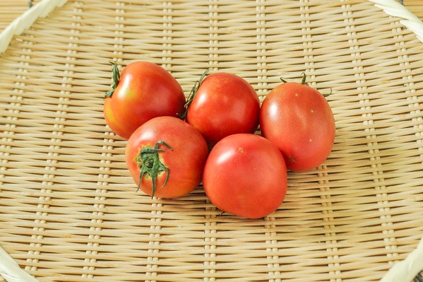 大玉トマト（AL） 500gr