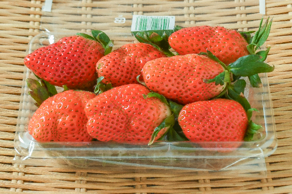 赤いちご 【業務用食材の仕入れなら八面六臂】