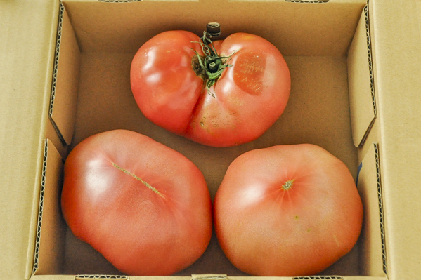 トマト（箱）（3個）