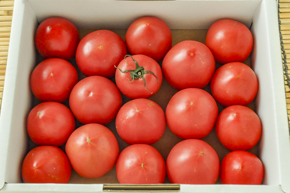 中玉トマト（シュクレトマト）（2S）（静岡県浜松産）